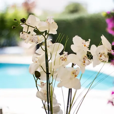 Vila Casa Alegre By Algarve Golden Properties *