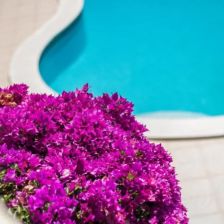 Casa Alegre By Algarve Golden Properties Βίλα Porches (Algarve)